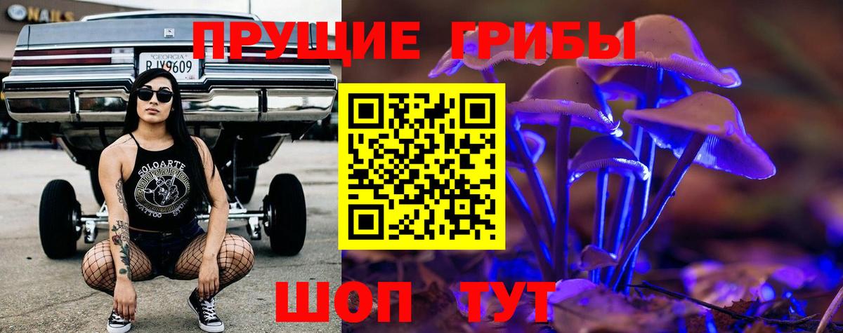 Кондопога  Псилоцибиновые грибы Psilocybine cubensis  Вход с VPN 